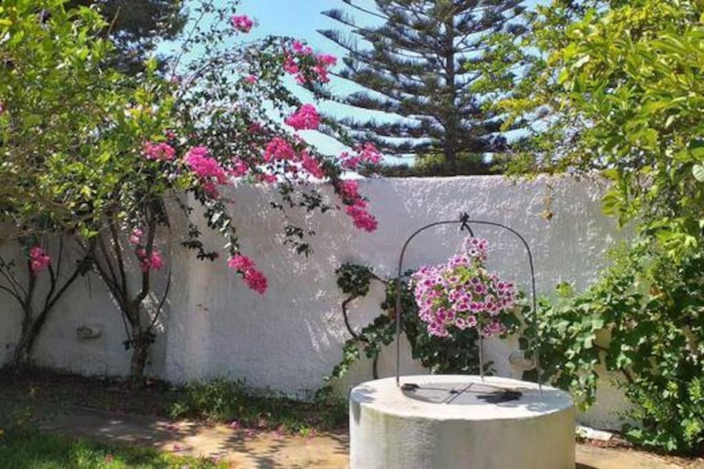 Villa Mozia Riserva Dello Stagnone Marsala Exteriör bild